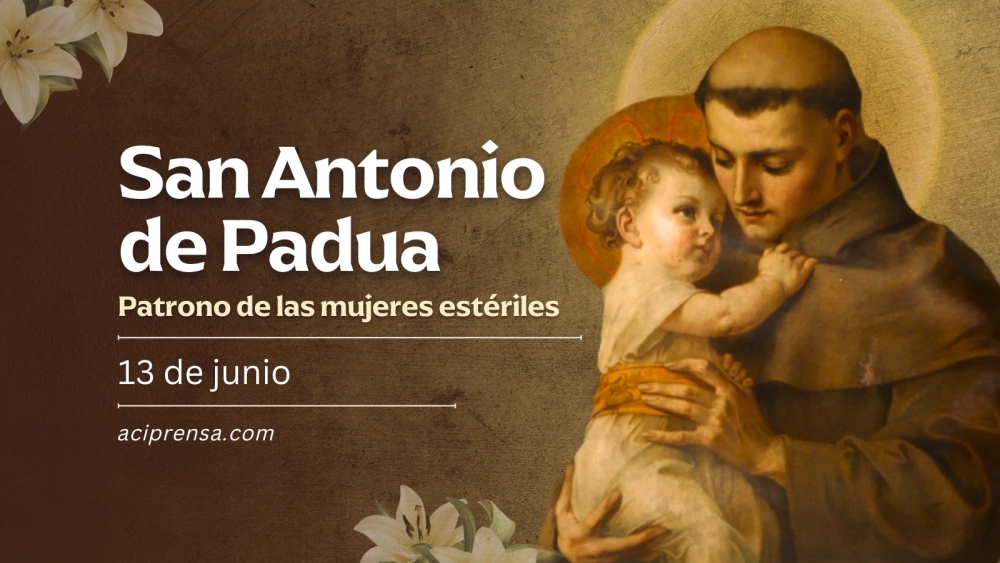 sanantoniodepadua 1748373955 sanantoniodepadua 1748373955