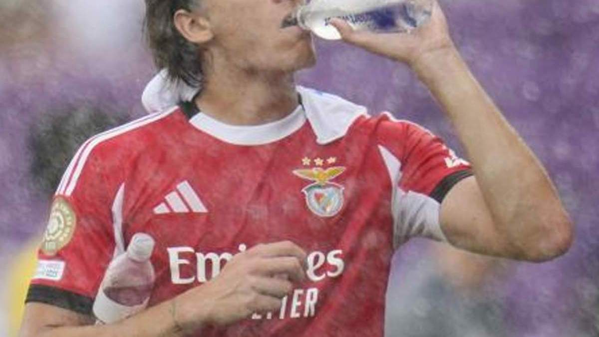 alvaro carreras realmadrid partido