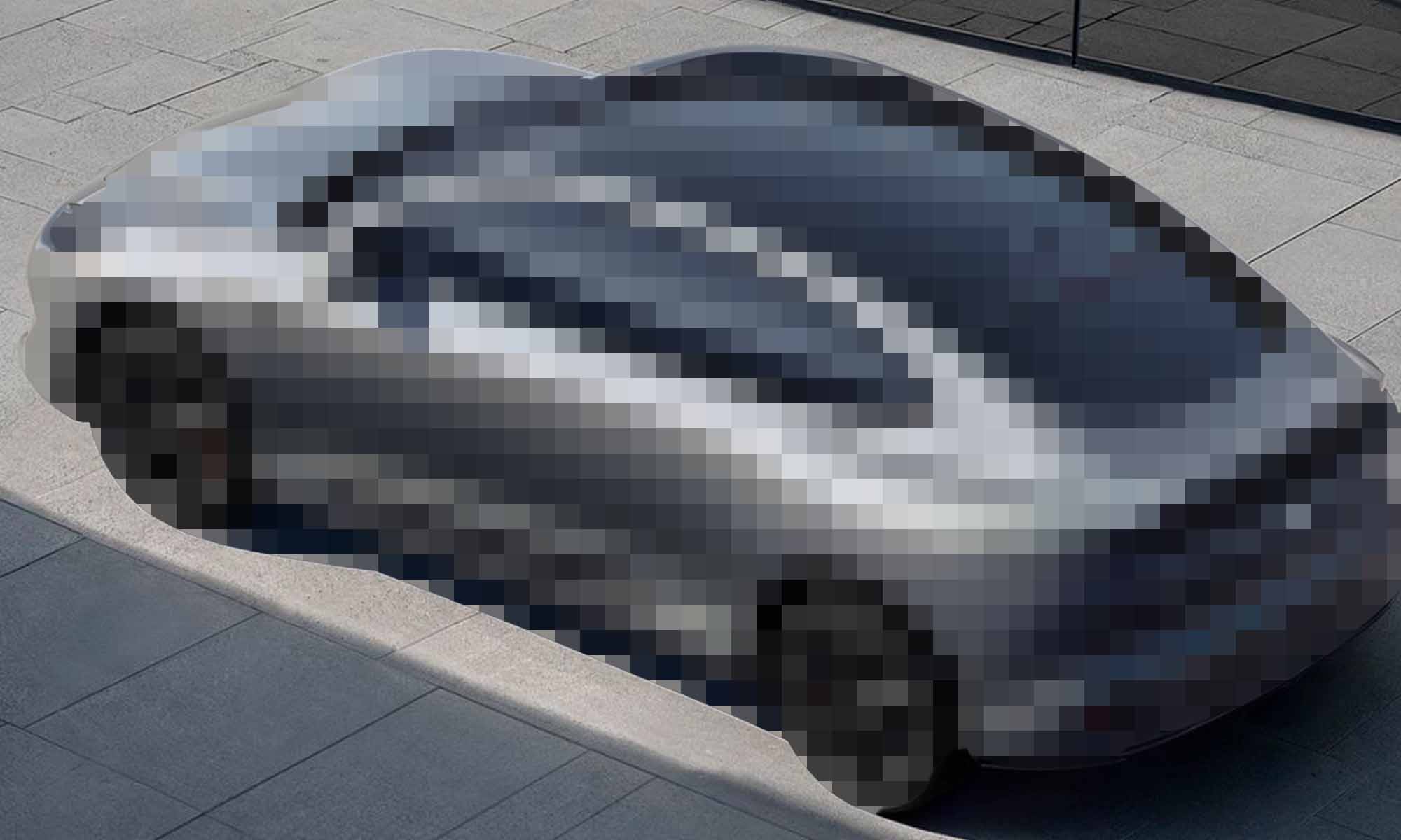 Nuevo coche eléctrico de incógnito