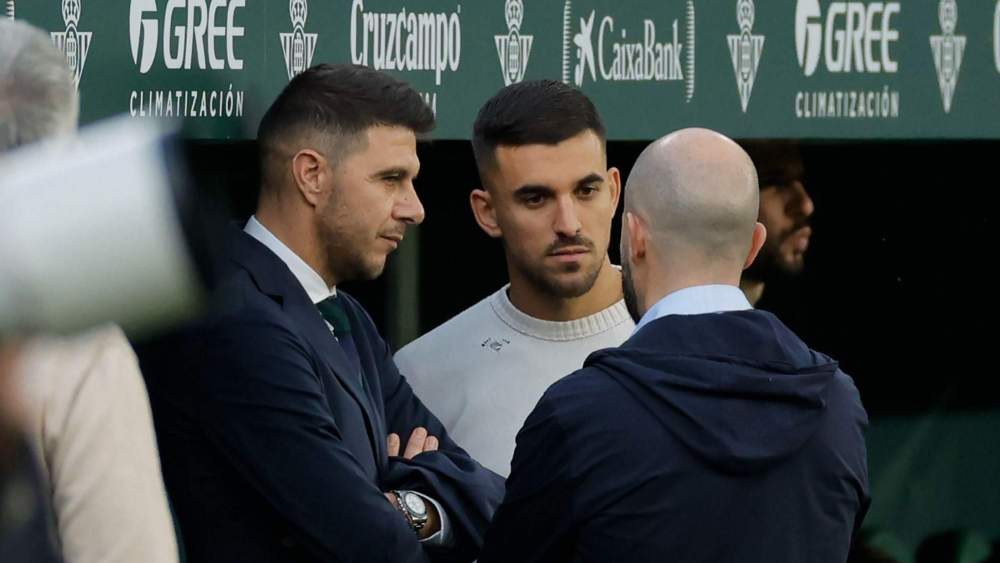 dani ceballos joaquin fajardo dani ceballos joaquin fajardo