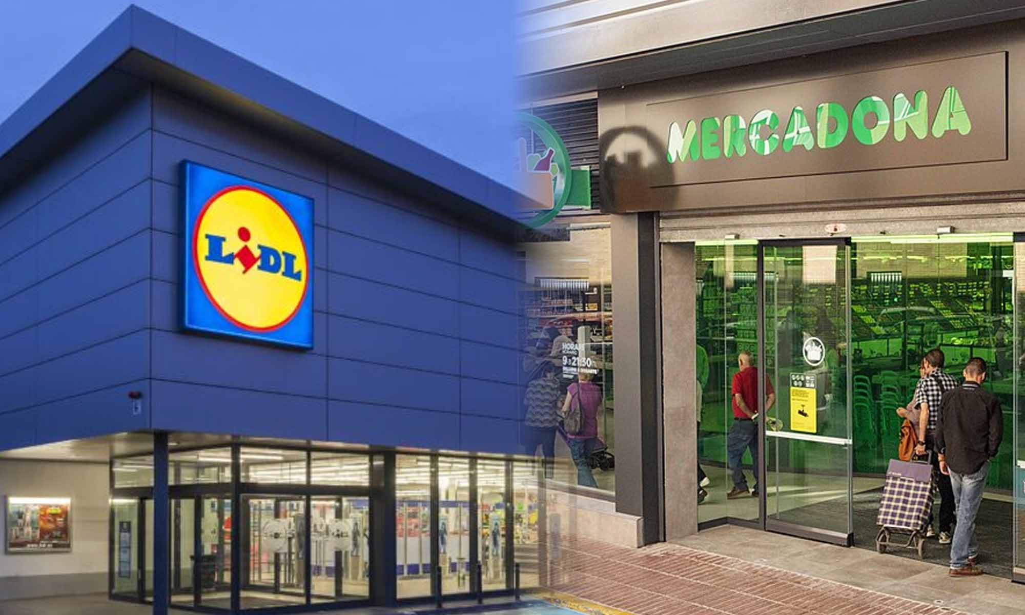 Lidl y Mercadona