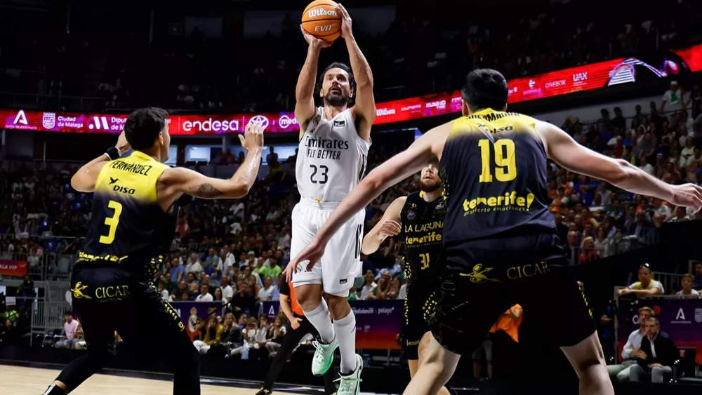 sergio llull basket laguna sergio llull basket laguna