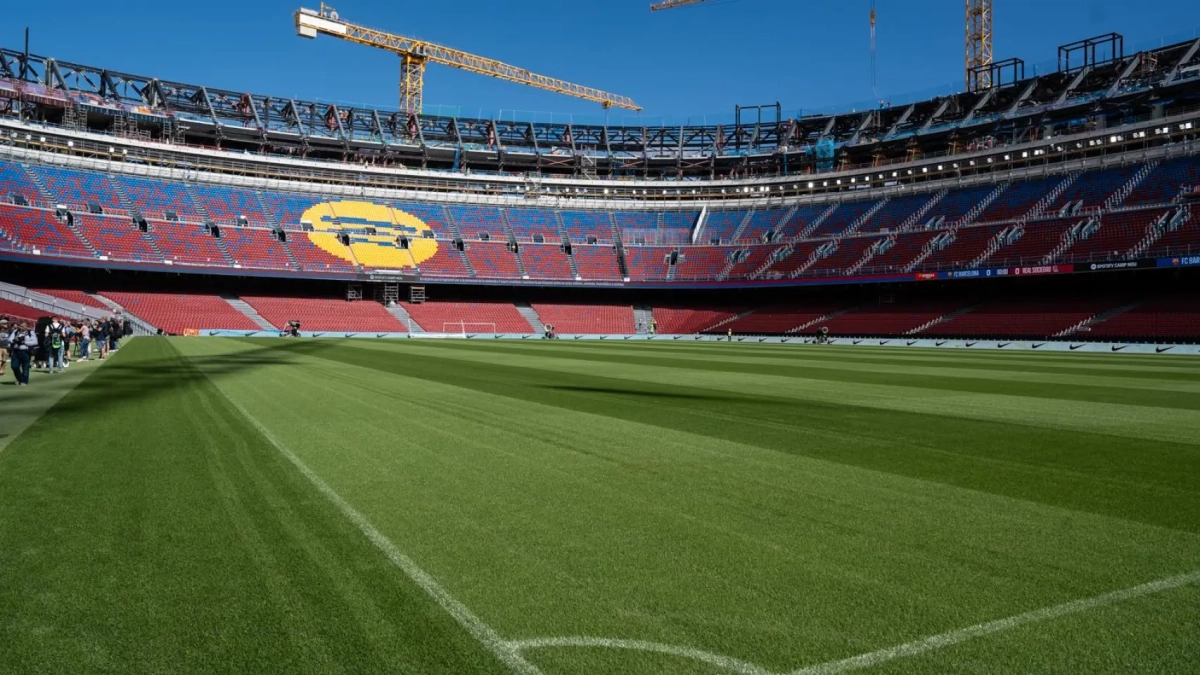 césped campnou preparado césped campnou preparado