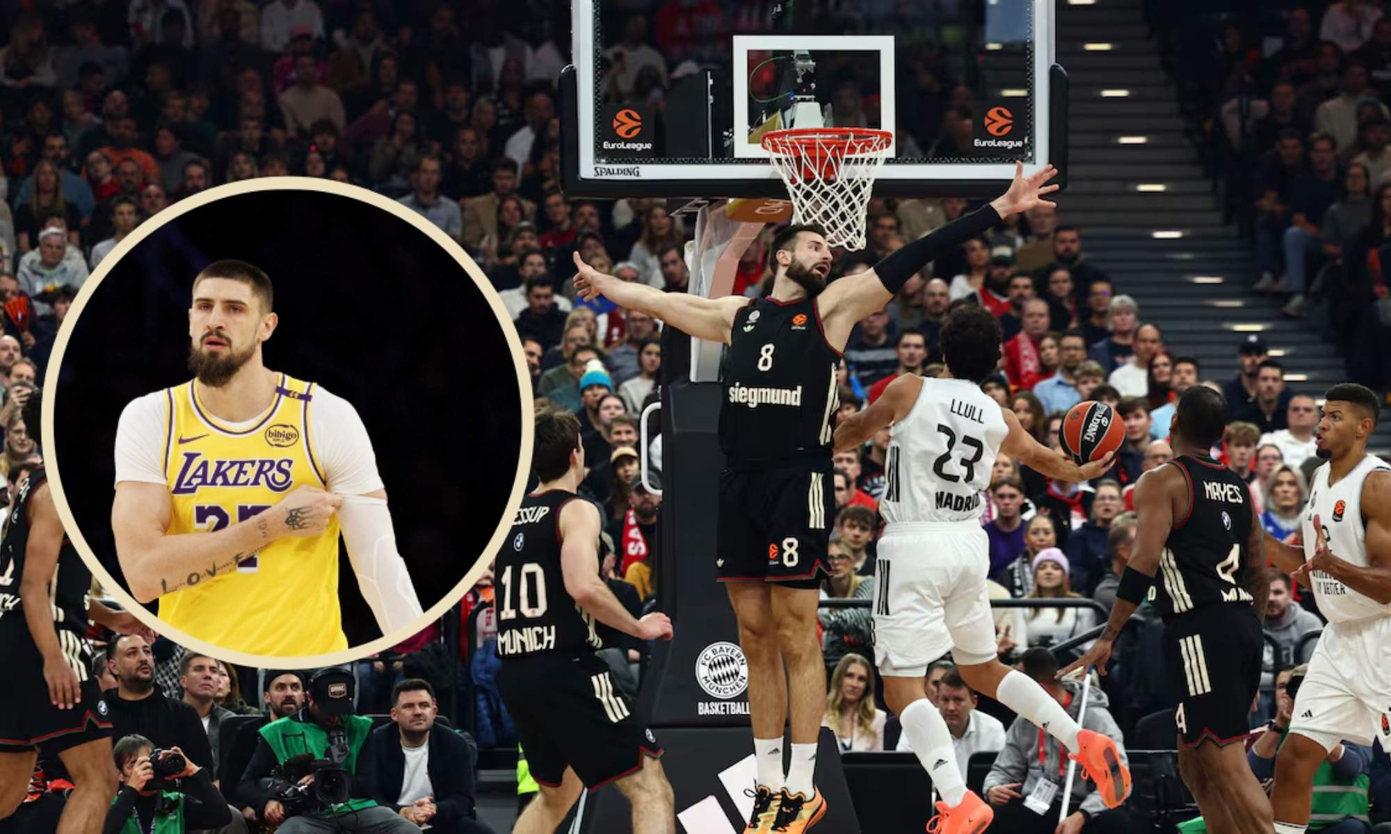 El Real Madrid ha vuelto a perder en la Euroliga, en esta ocasión con el Bayern, y ya acelera para fichar cuanto antes a Alex Len. El Real Madrid ha vuelto a perder en la Euroliga, en esta ocasión con el Bayern, y ya acelera para fichar cuanto antes a Alex Len.