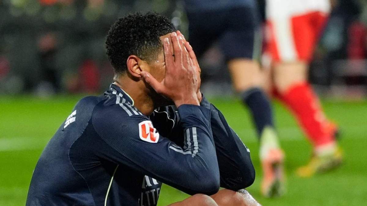 FotoJet 2025 12 01T011620.720 FotoJet 2025 12 01T011620.720