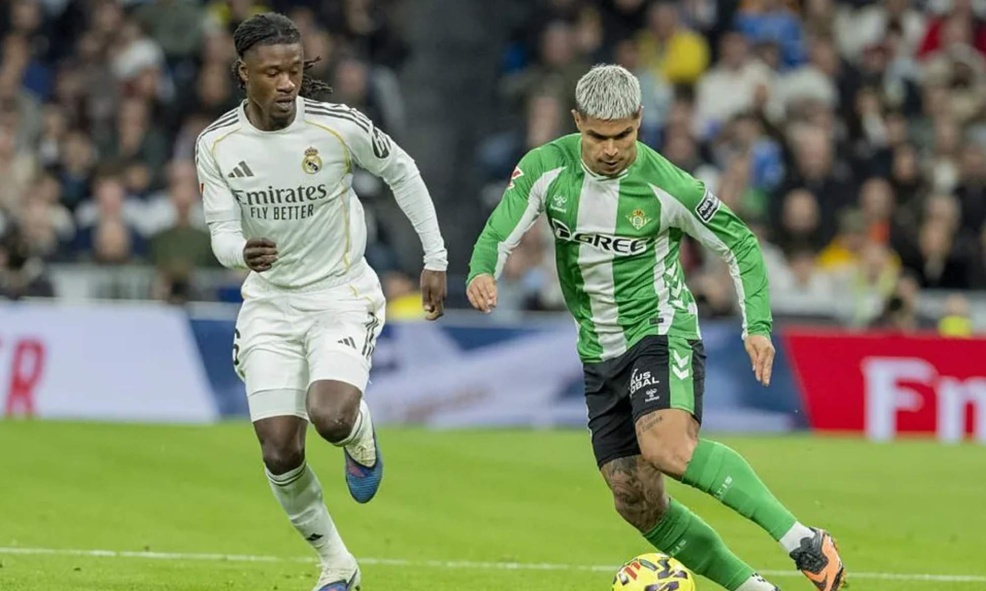 Eduardo Camavinga acude a presionar a Cucho, durante el partido de esta tarde en el Bernabéu entre el Madrid y el Betis.
