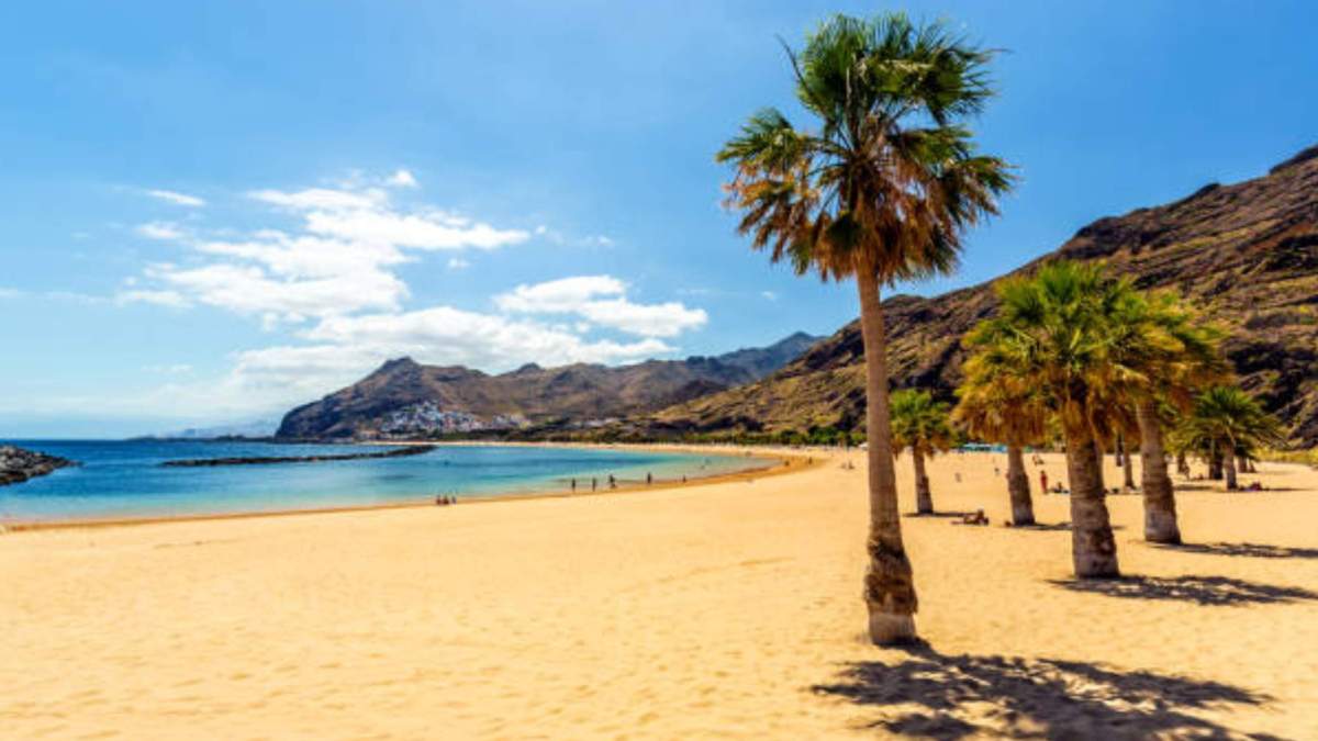 Las palmeras en la playa de Las Teresitas