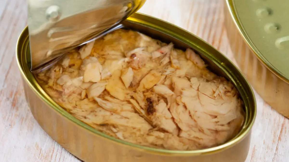 Una lata de atún abierta Una lata de atún abierta