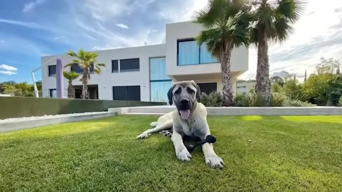 Exterior de la casa de Benzema