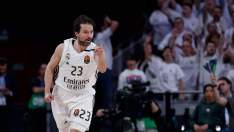 Sergio Llull quiere renovar con el Real Madrid