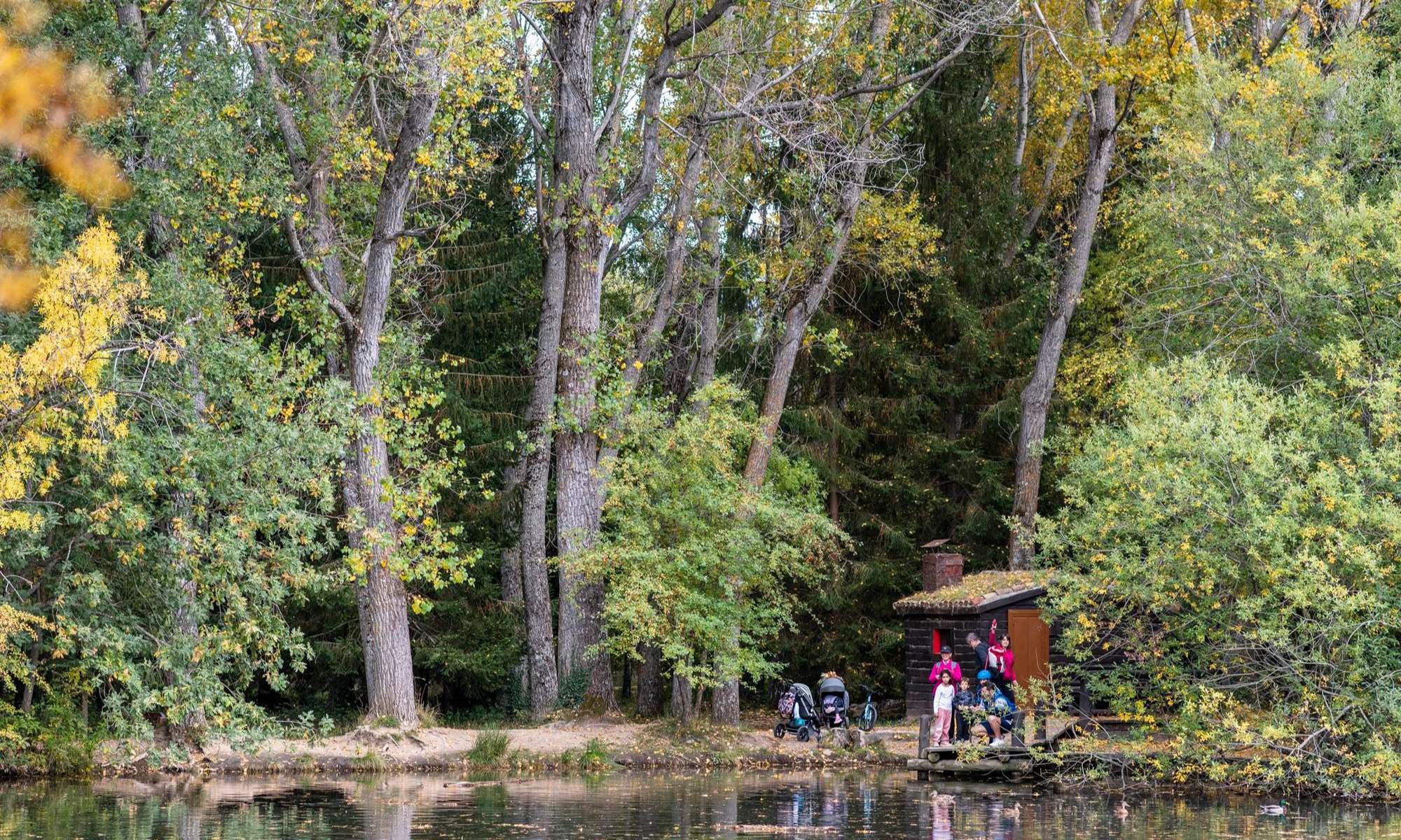 El Bosque Finlandés de Rascafría es un lugar idílico con encanto en cualquier época del año y su paisaje recuerda mucho al del país nórdico.
