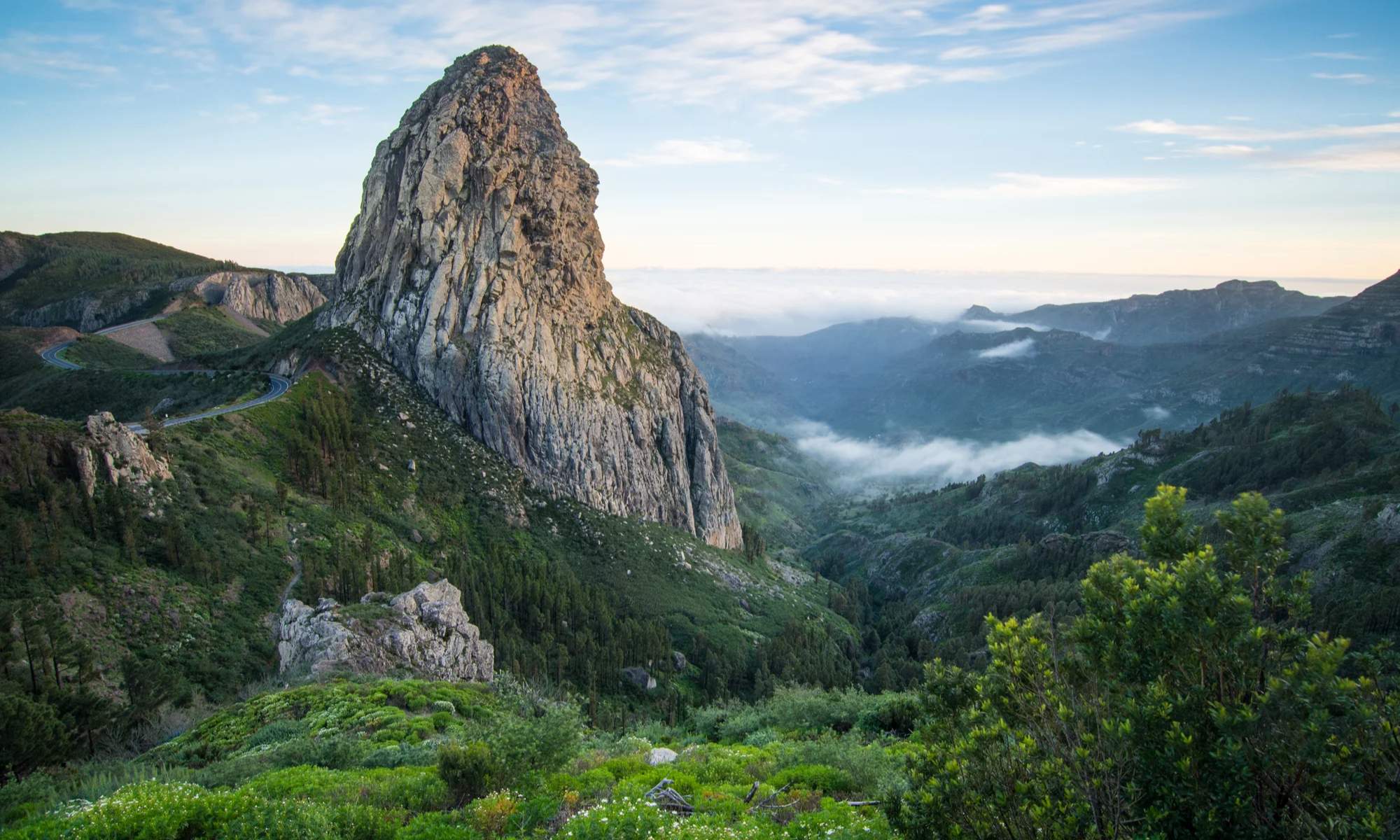 El Parque Nacional Garajonay de La Gomera recuerda al Amazonas sudamericano.
