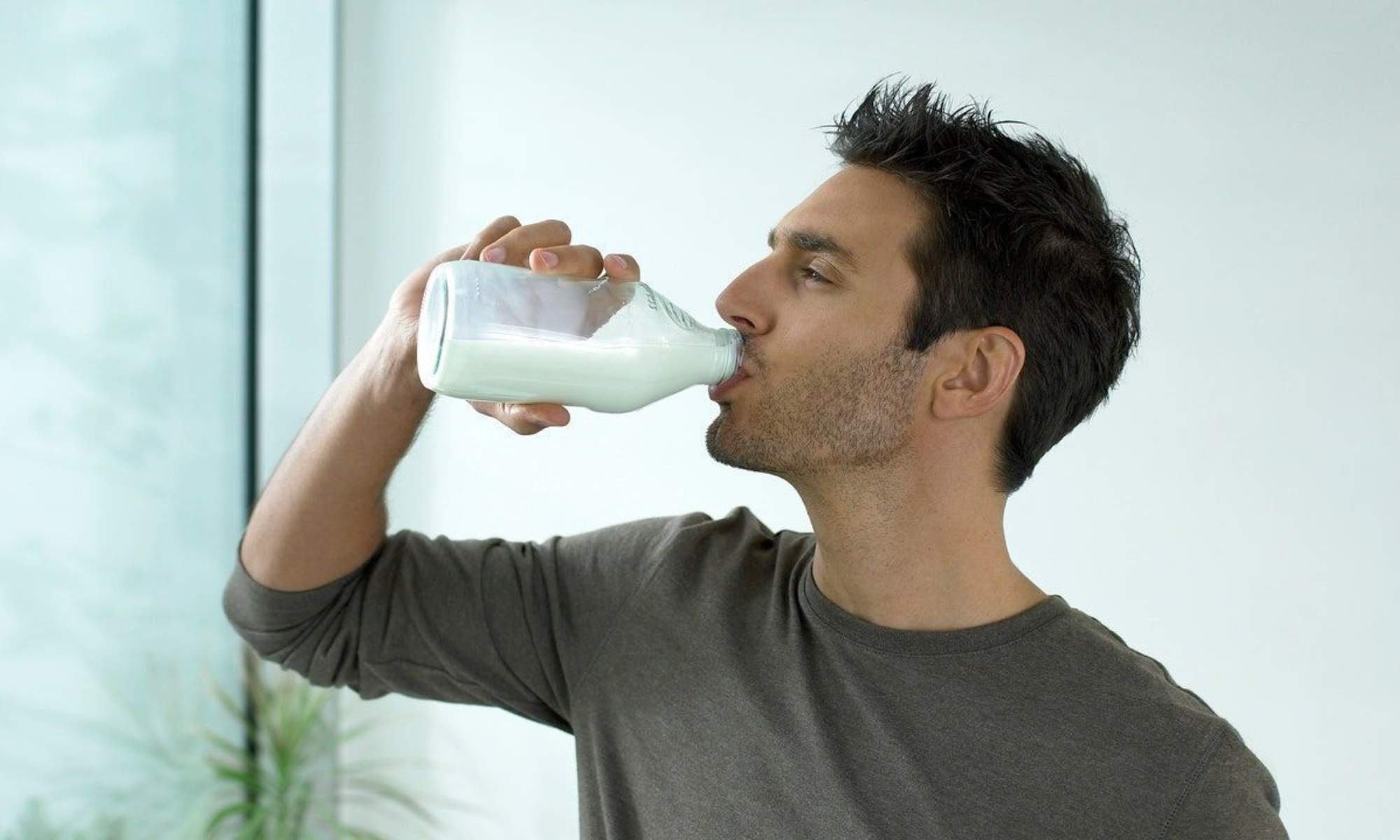 Los expertos recomiendan beber leche 15 minutos antes de dormir