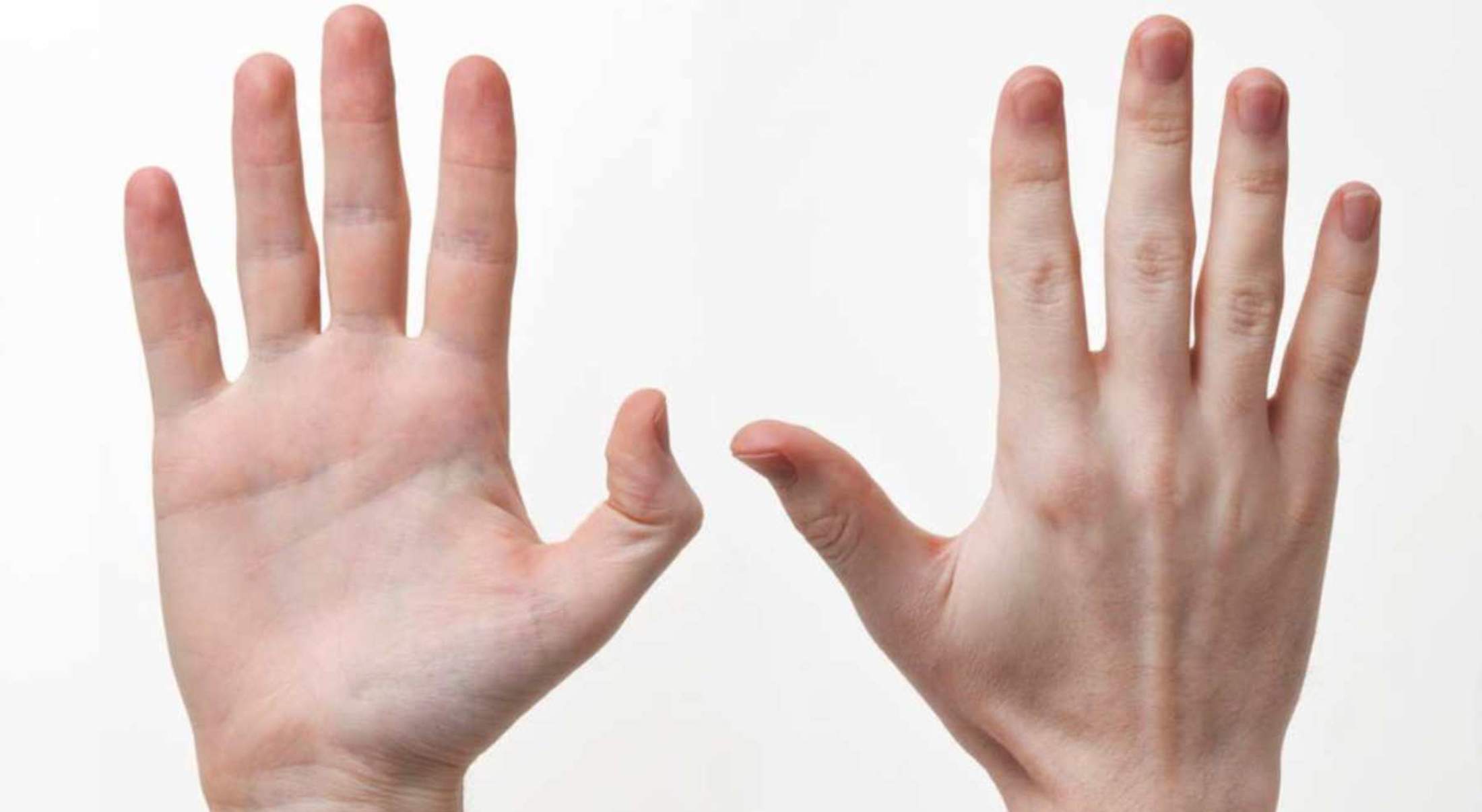 El tamaño del dedo anular y del pene