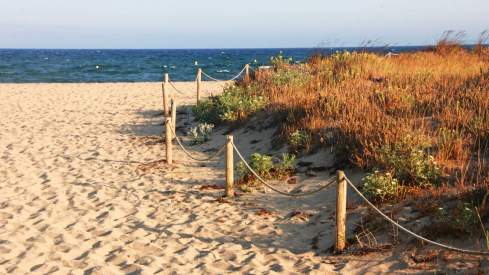 La Playa La Rubina es de las pocas que deja acceder a perros.