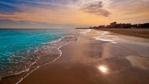 El pueblo de España con más playas para perros está en Alicante El pueblo de España con más playas para perros está en Alicante
