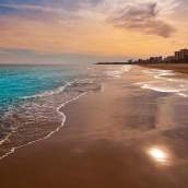 El pueblo de España con más playas para perros está en Alicante